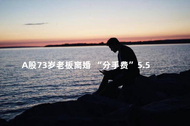 A股73岁老板离婚 “分手费”5.5亿